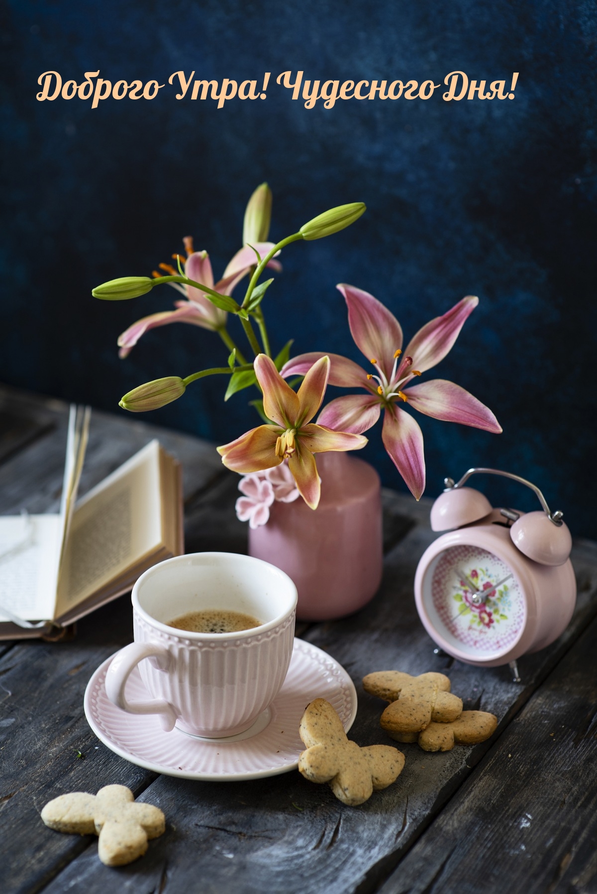 Доброго Утра! Чудесного Дня!