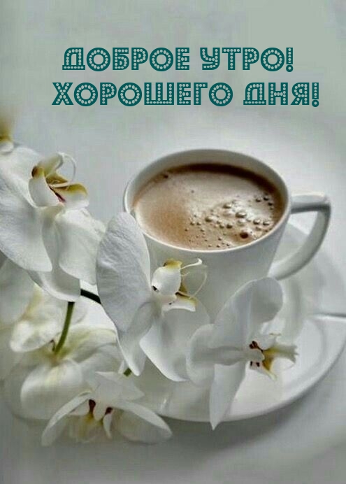 Доброе Утро! Хорошего Дня!