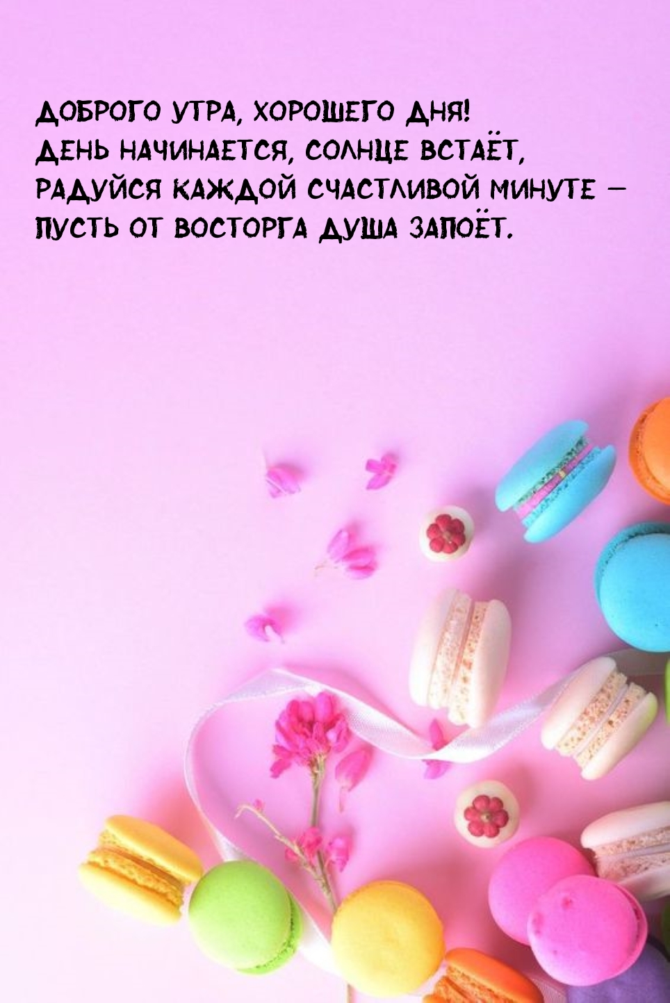 Доброго утра, хорошего дня! День начинается, солнце встаёт