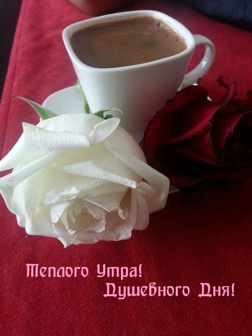 Теплого Утра! Душевного Дня!