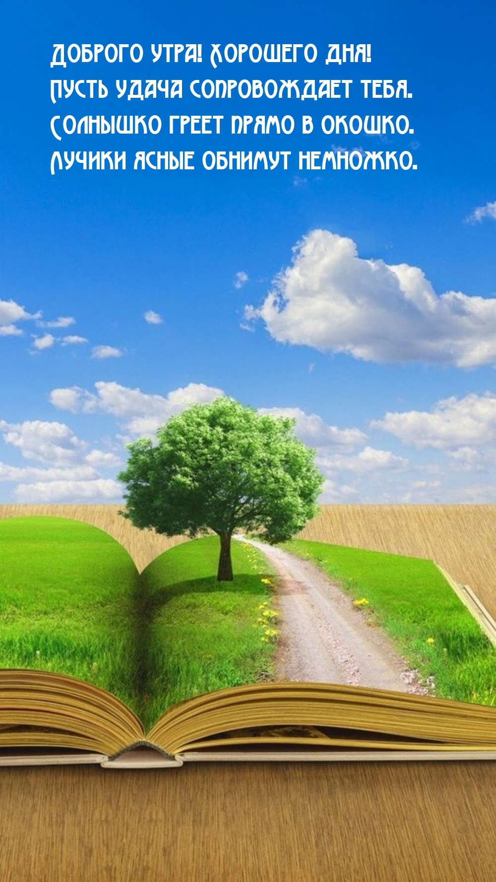 Доброго утра! Хорошего дня! Пусть удача сопровождает тебя.