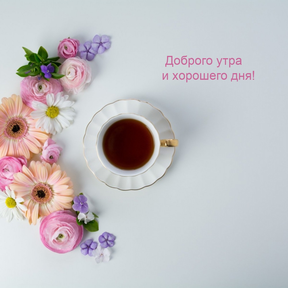 Доброго утра и хорошего дня!
