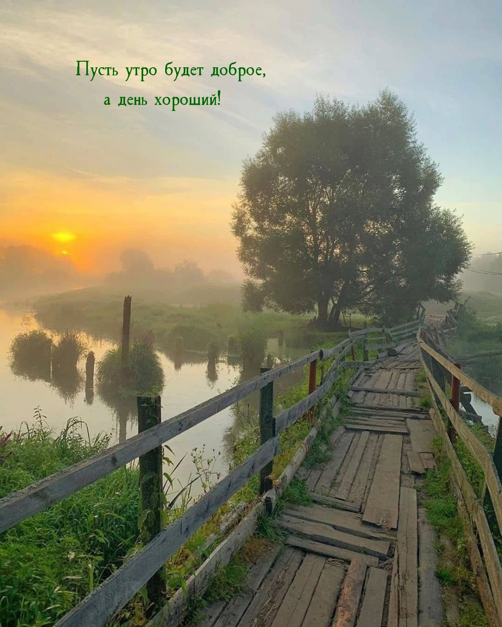 Пусть утро будет доброе, а день хороший!