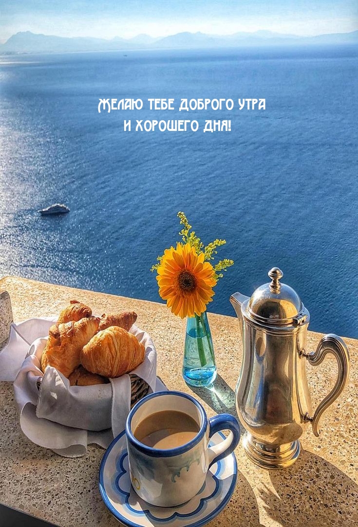 Желаю тебе доброго утра и хорошего дня!