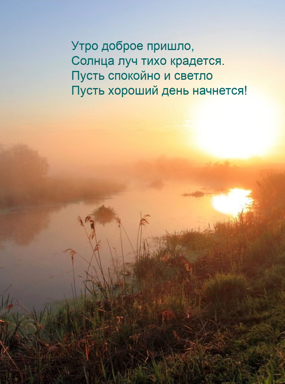 Утро доброе пришло, солнца луч тихо крадется.