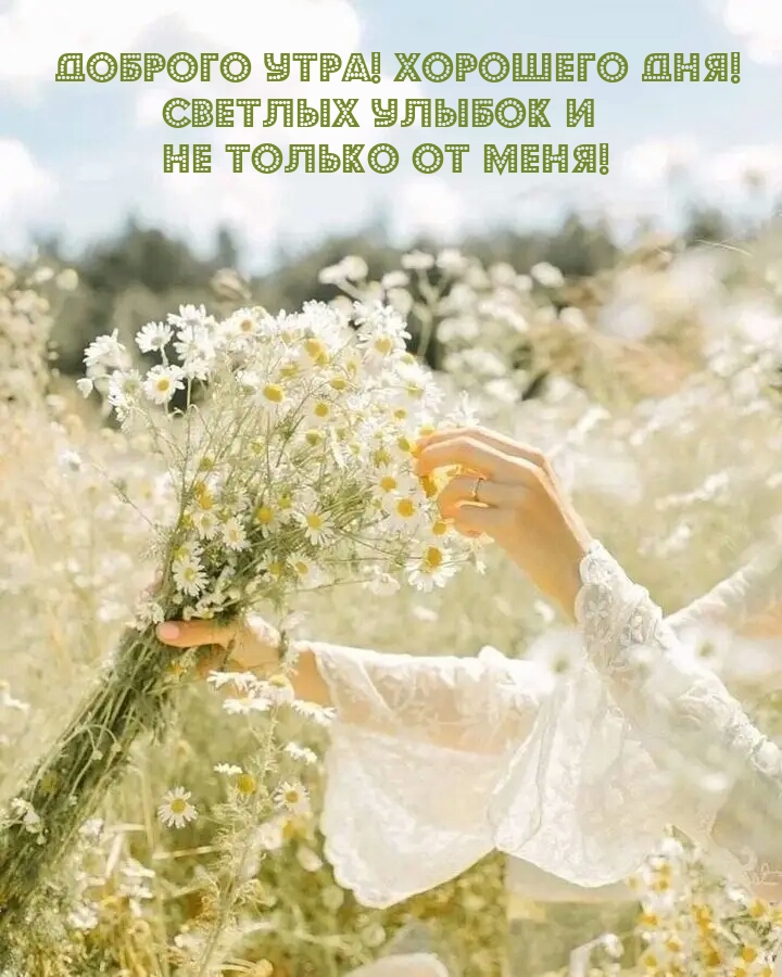 Доброго утра! Хорошего дня! Светлых улыбок