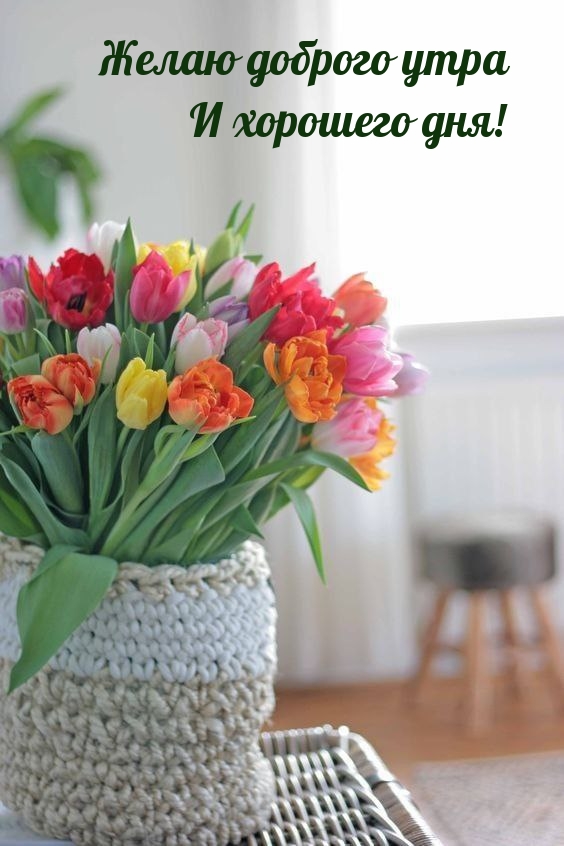 Желаю доброго утра и хорошего дня!