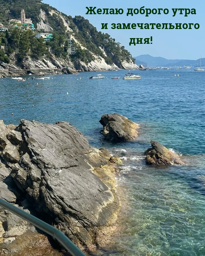 Желаю доброго утра и замечательного дня!