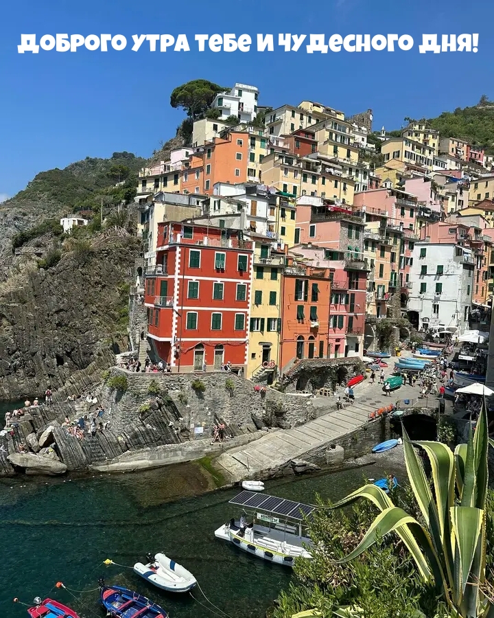 Доброго утра тебе и чудесного дня!