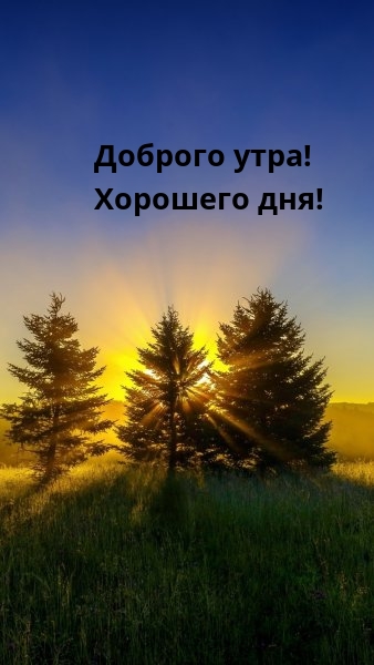 Доброго утра! Хорошего дня!
