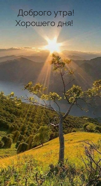 Доброго утра! Хорошего дня!