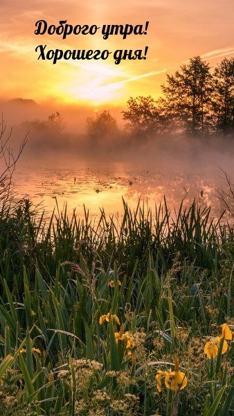 Доброго утра! Хорошего дня!