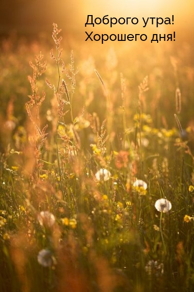 Доброго утра! Хорошего дня!