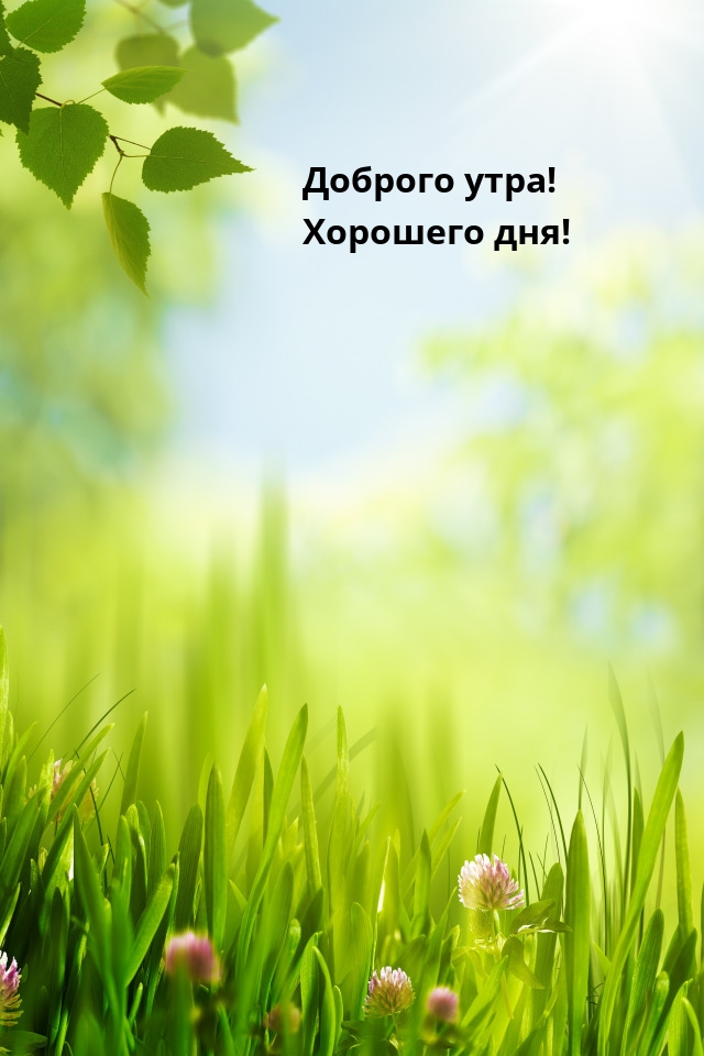 Доброго утра! Хорошего дня!