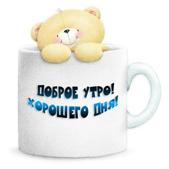 Доброе утро! Хорошего дня!