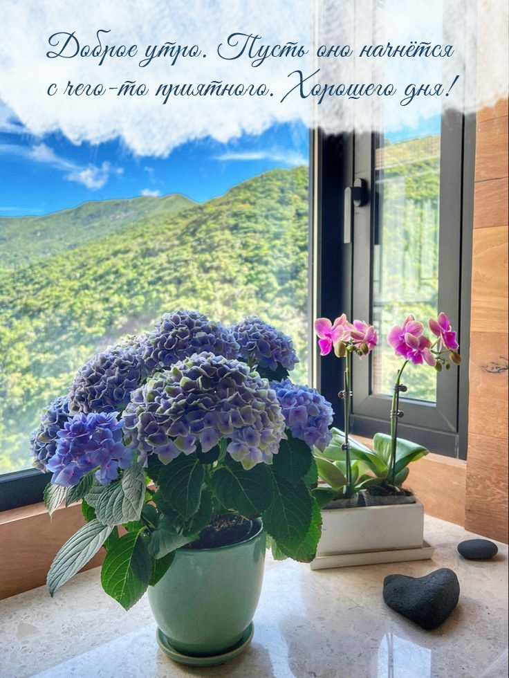 Доброе утро. Пусть оно начнётся с чего-то приятного. Хорошего дня!