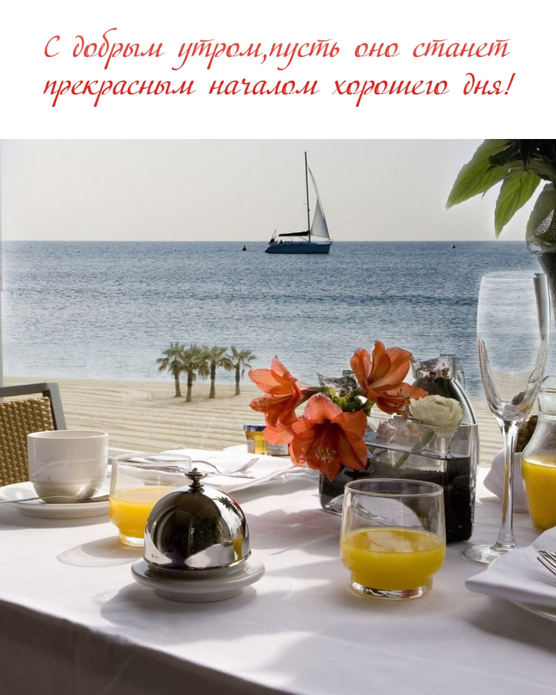 С добрым утром, пусть оно станет прекрасным началом хорошего дня! 