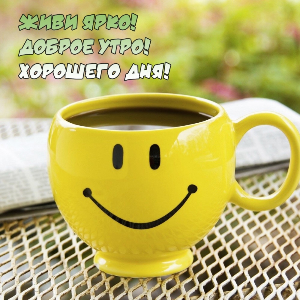Живи ярко! Доброе утро! Хорошего дня!