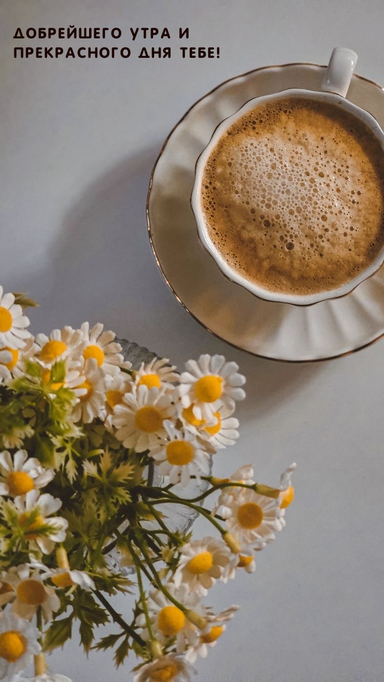 Добрейшего утра и прекрасного дня тебе!