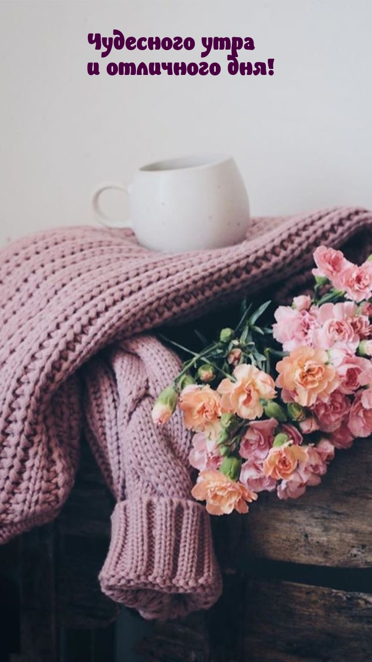 Чудесного утра и отличного дня!