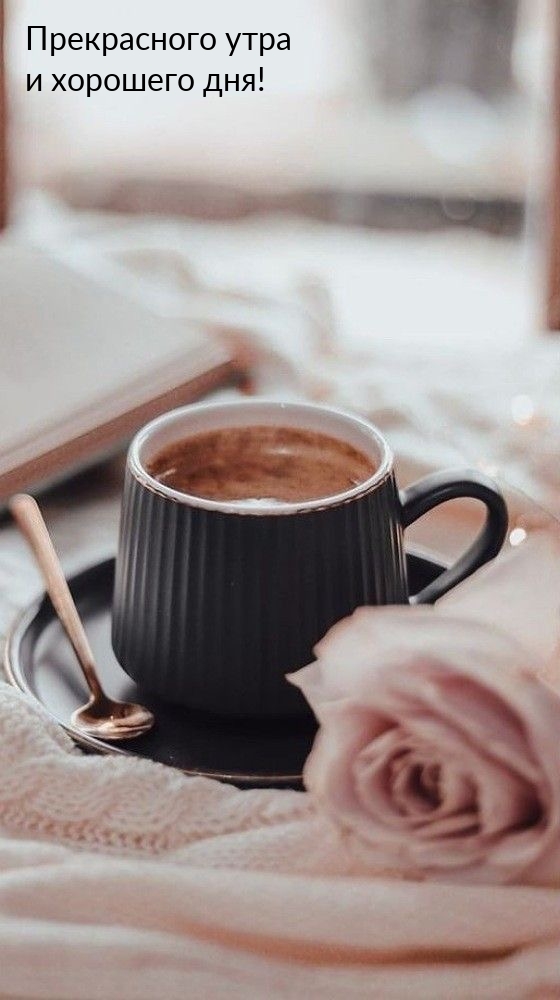 Прекрасного утра и хорошего дня!