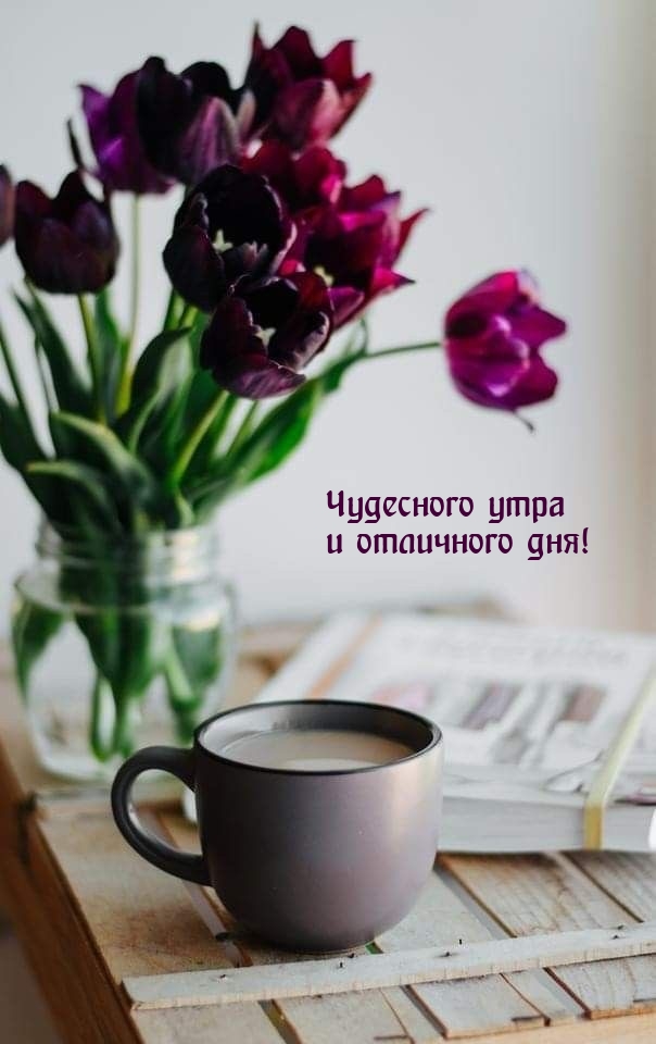 Чудесного утра и отличного дня!