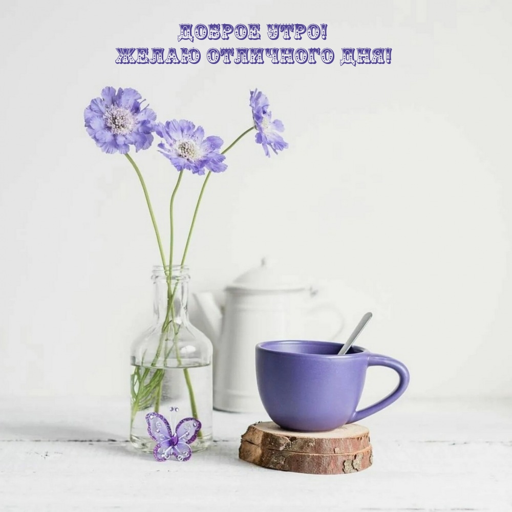 Дoбрoe утрo! Жeлaю отличного дня!