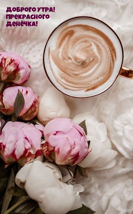 Доброго утра! Прекрасного денёчка!