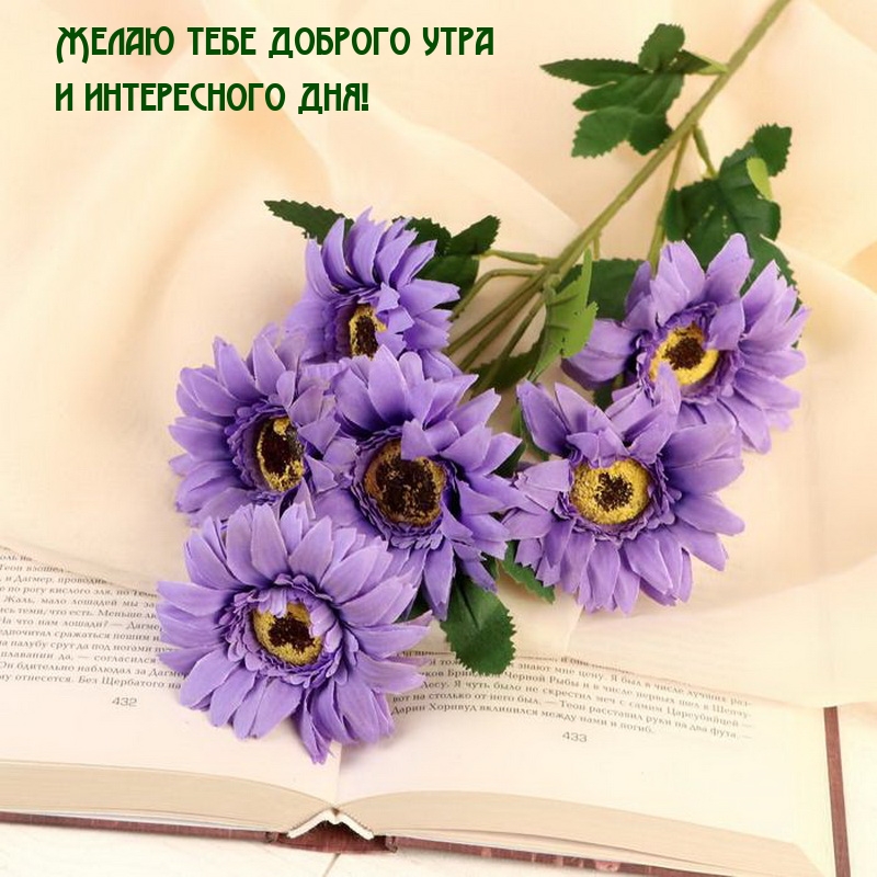 Желаю тебе доброго утра и интересного дня! 
