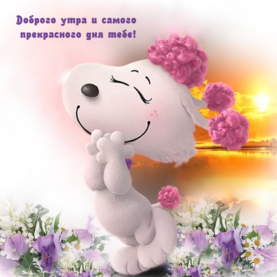 Доброго утра и самого прекрасного дня тебе!