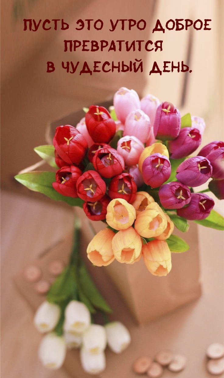 Пусть это утро доброе превратится в чудесный день.
