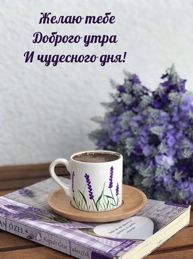 Желаю тебе Доброго утра и чудесного дня!
