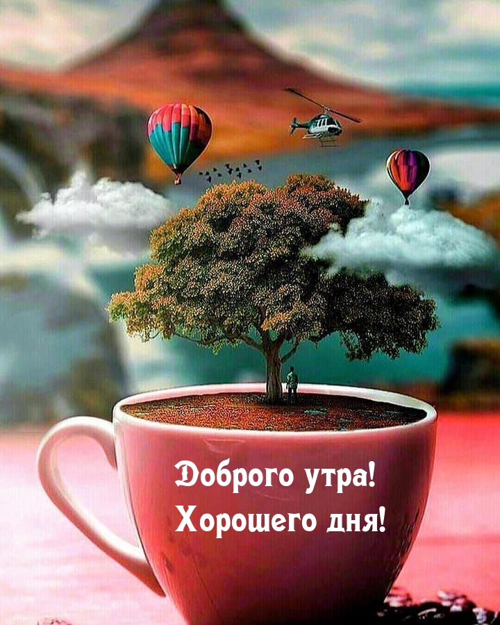 Доброго утра! Хорошего дня!