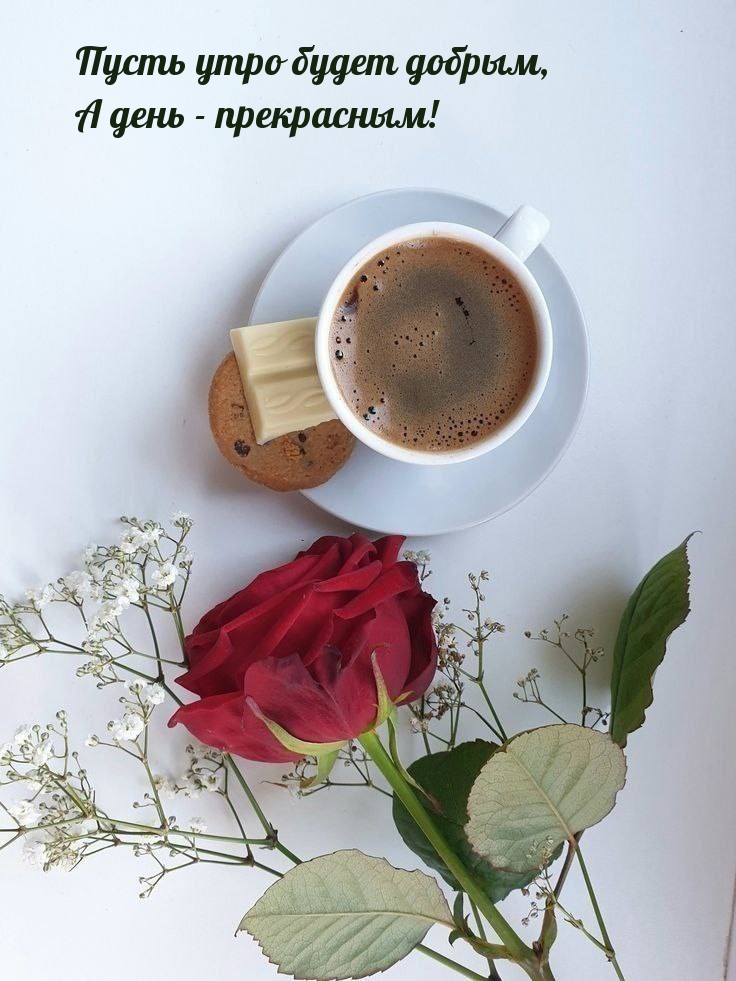 Пусть утро будет добрым, а день - прекрасным!