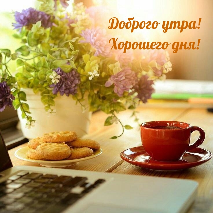 Доброго утра! Хорошего дня!