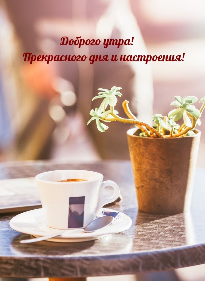 Доброго утра! Прекрасного дня и настроения!