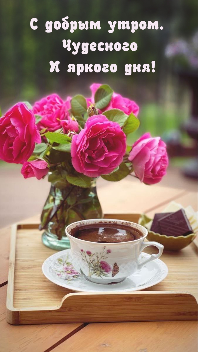 С добрым утром. Чудесного и яркого дня!