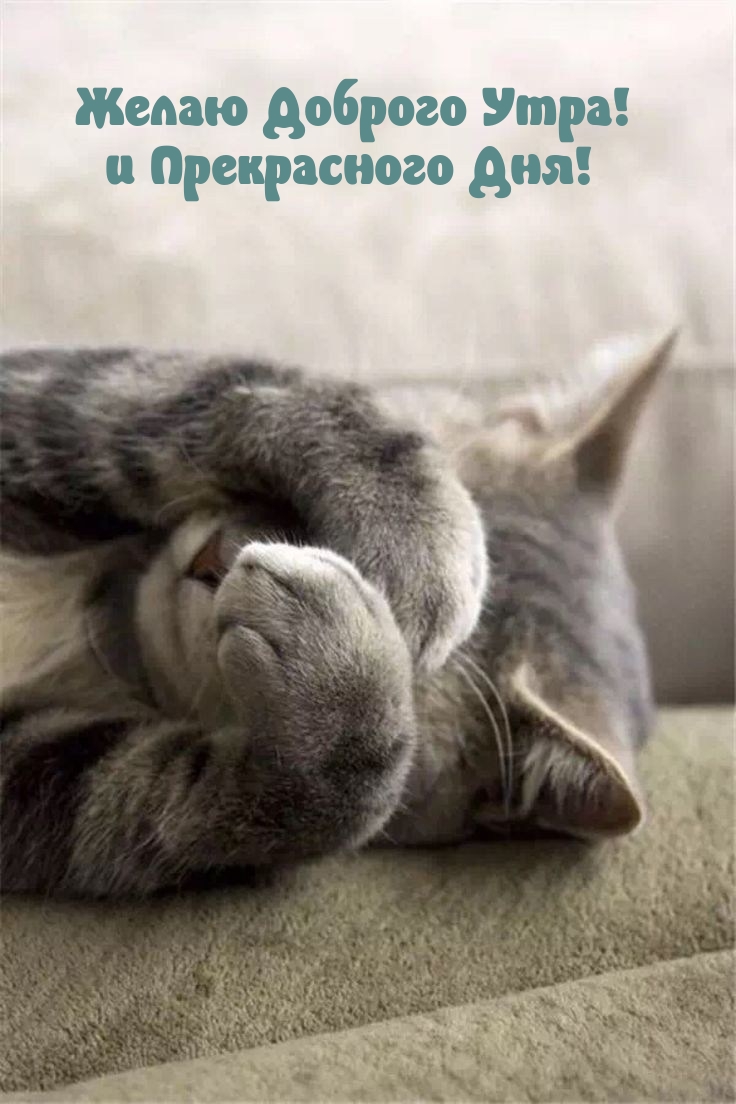Желаю Доброго Утра! и Прекрасного Дня!
