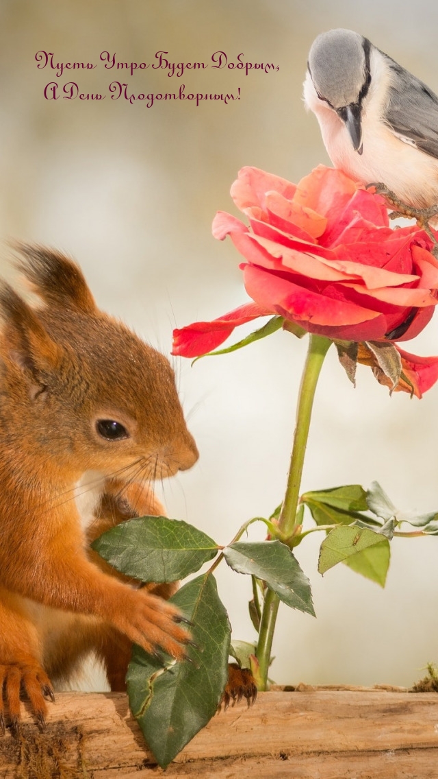 Пусть Утро Будет Добрым, А День Плодотворным!