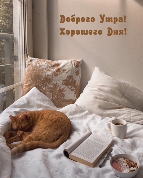 Доброго Утра! Хорошего Дня!