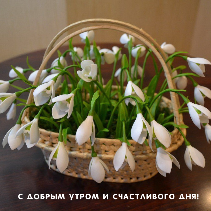 С добрым утром и счастливого дня!