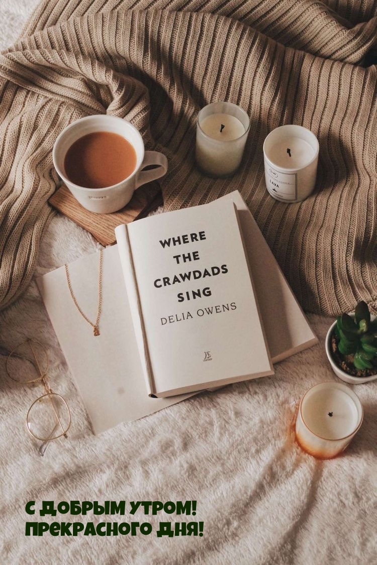 С добрым утром! Прекрасного дня!