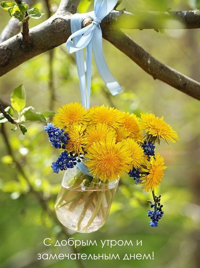 С добрым утром и замечательным днем!