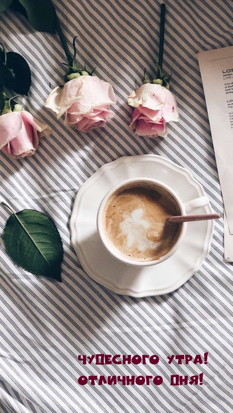 Чудесного утра! Отличного дня!