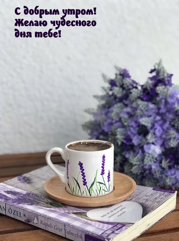 С добрым утром! Желаю чудесного дня тебе!