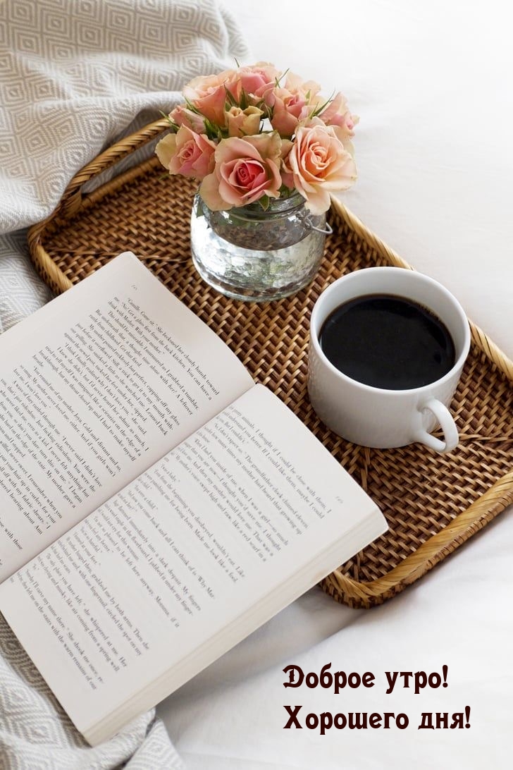 Доброе утро! Хорошего дня!