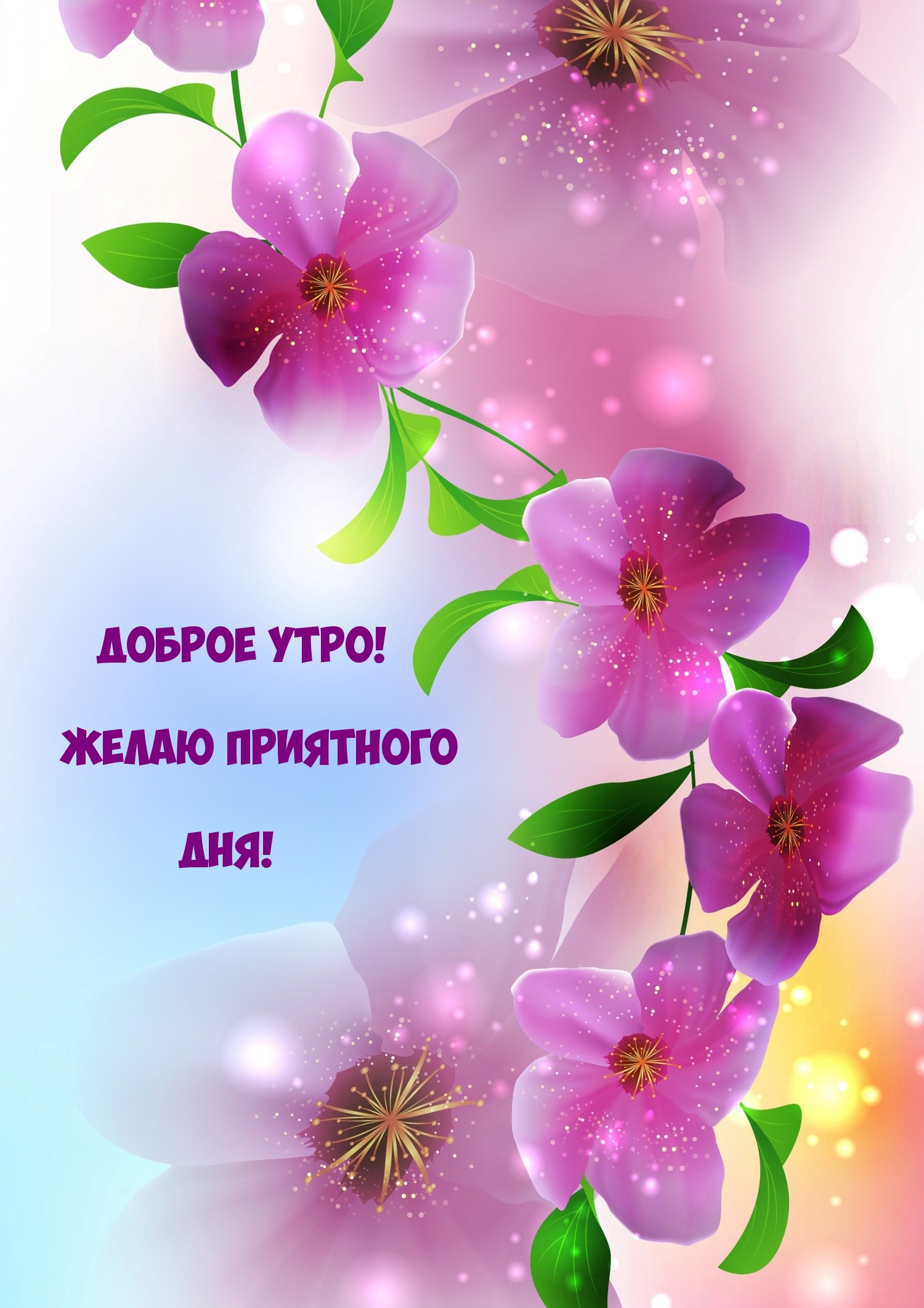 Доброе утро! Желаю приятного дня!