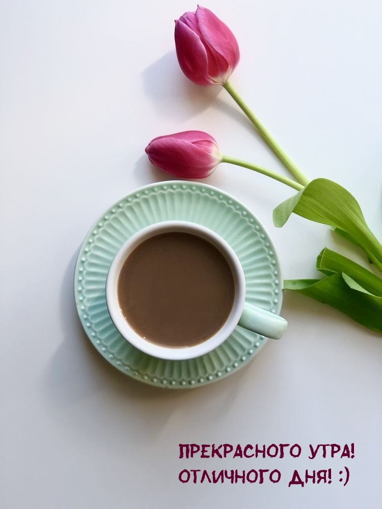 Прекрасного утра! Отличного дня! :)