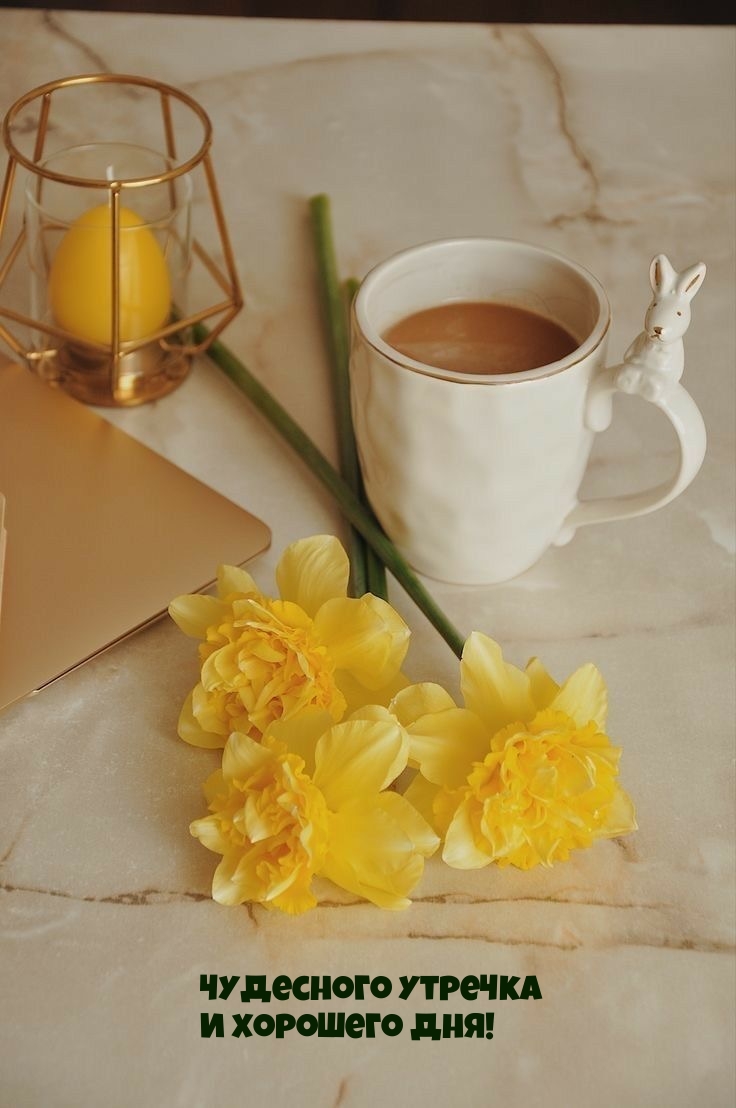 Чудесного утречка и хорошего дня!