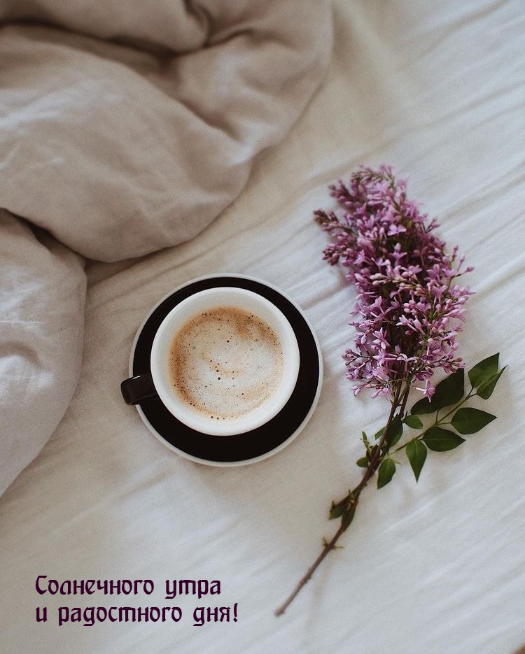 Солнечного утра и радостного дня!